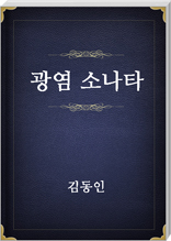 광염소나타